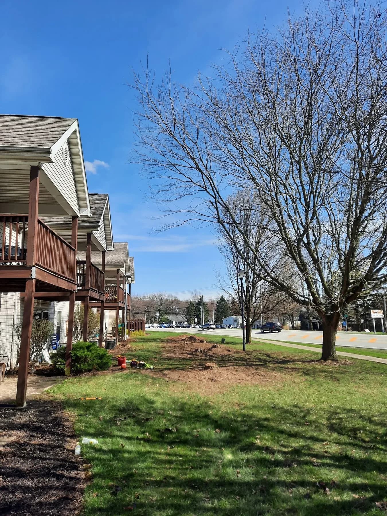 The same Big Sky apartments property cleared and cleaned up by Ghost Tree Service