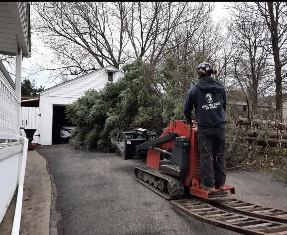 Lot Clearing by Ghost Tree Service in Medina County, Ohio