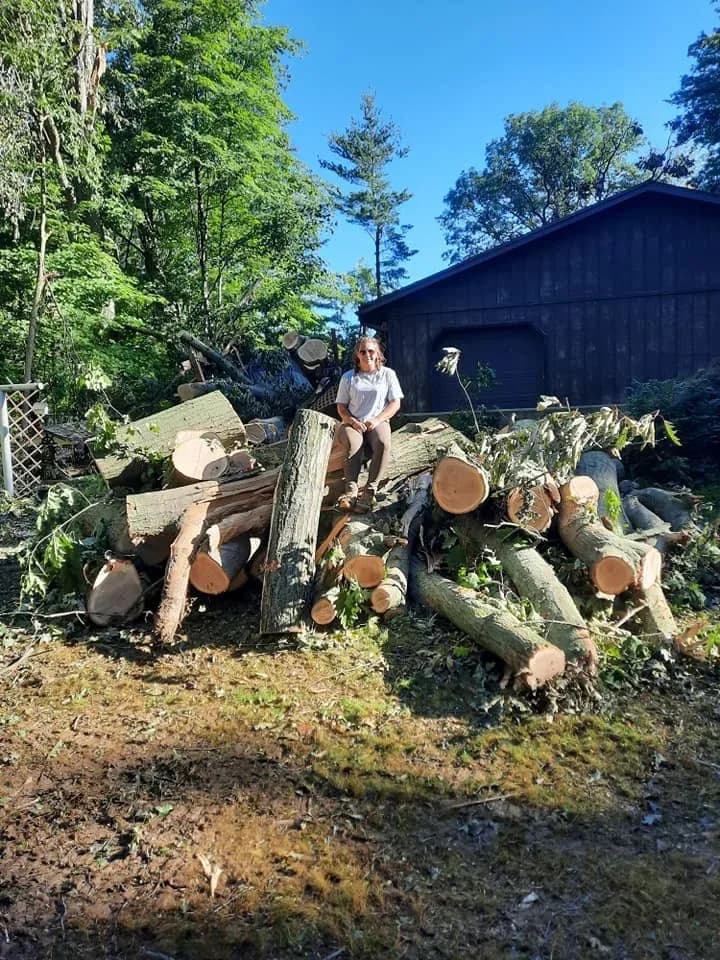 On a stack of storm-felled logs cleared after the Shreve storm