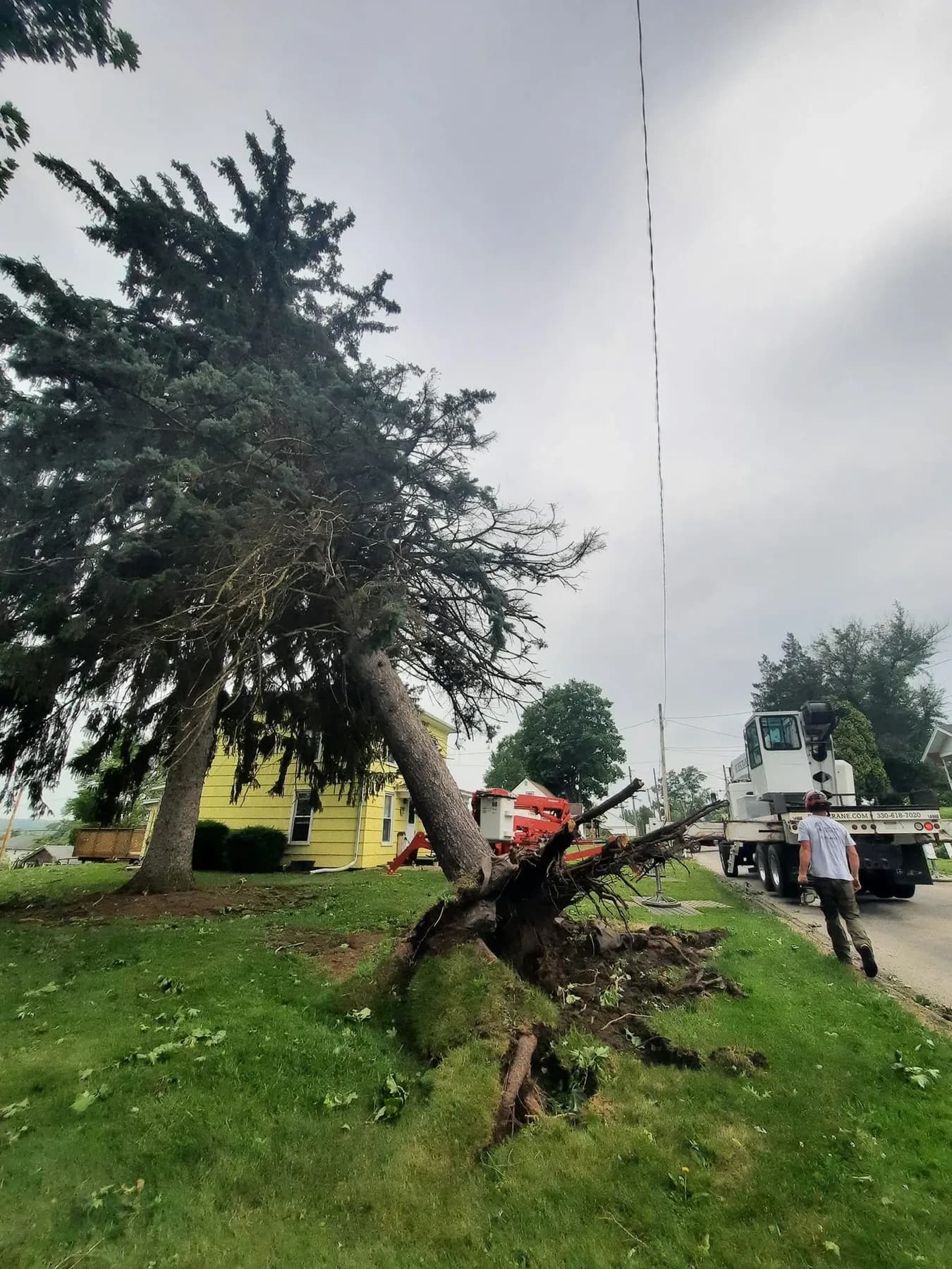Crane lifting a storm-toppled pine off a property during an emergency call