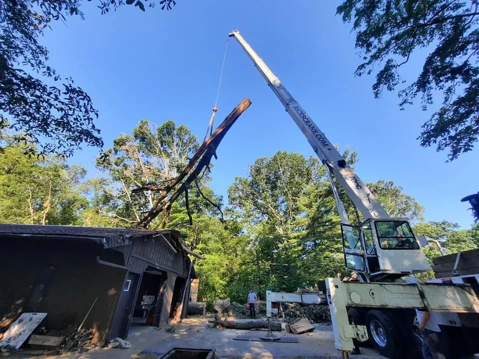 Bucking a fallen oak in a Medina County backyard