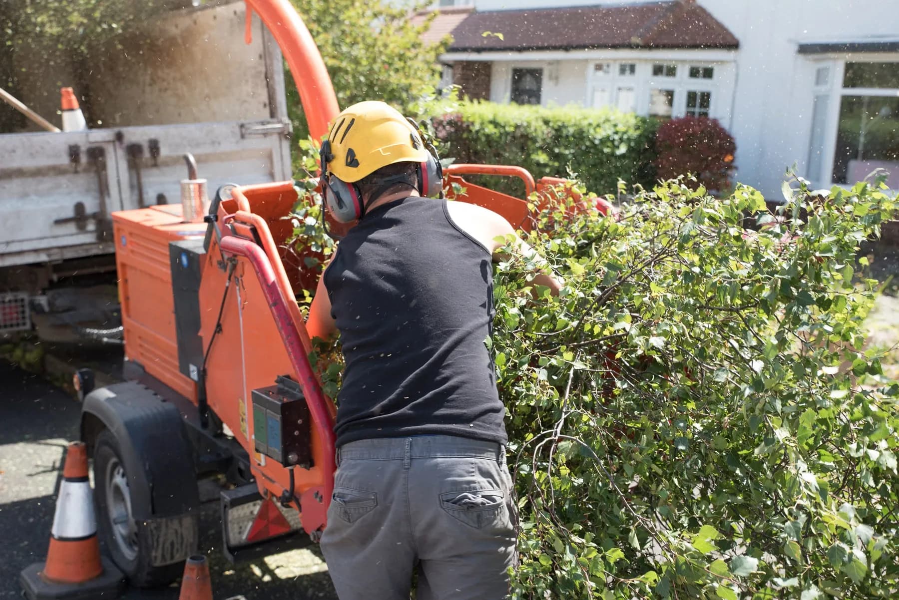Ghost Tree Service crane tree removal in Brunswick, Ohio